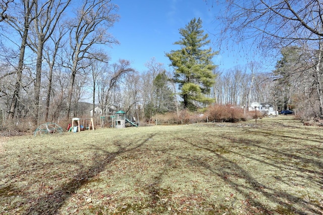 view of yard featuring a playground