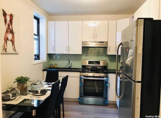 kitchen featuring under cabinet range hood, stainless steel appliances, a sink, white cabinetry, and decorative backsplash