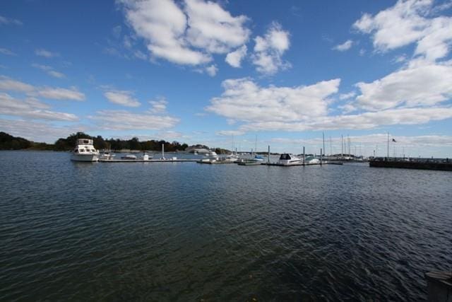 property view of water featuring a boat dock