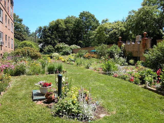 view of yard featuring a vegetable garden