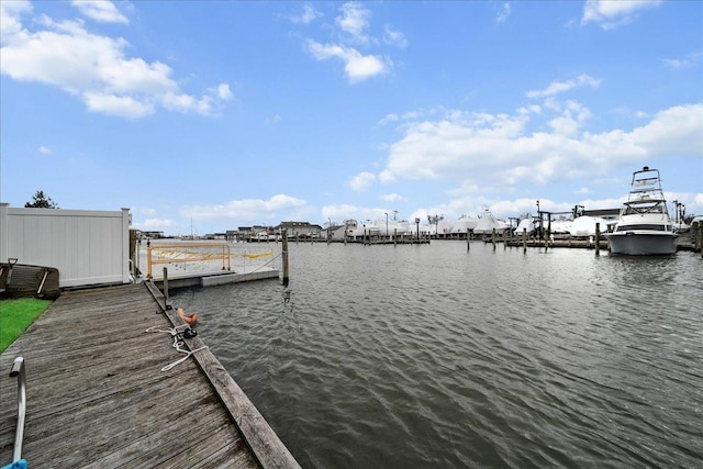 dock area with a water view