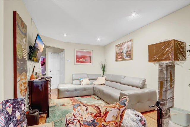 living room featuring wood finished floors