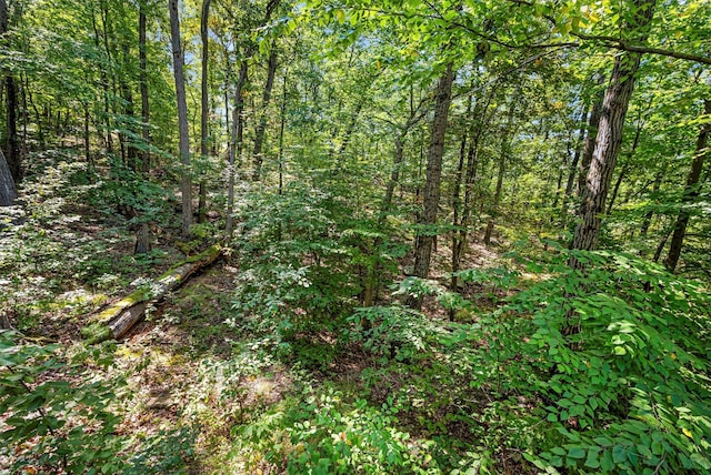 view of local wilderness featuring a wooded view