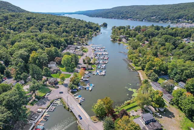 bird's eye view with a forest view and a water view