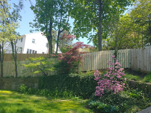 view of yard featuring fence