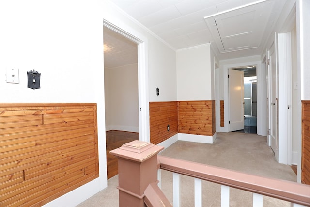 corridor featuring crown molding, carpet, a wainscoted wall, and wood walls