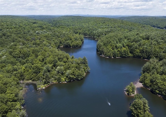 aerial view featuring a water view and a forest view