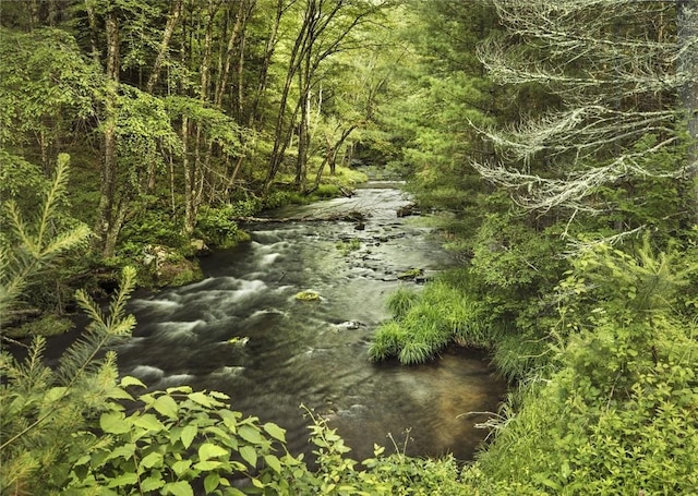 view of nature featuring a wooded view