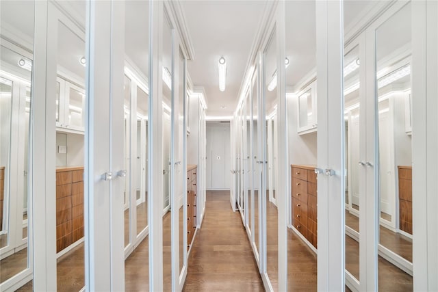 spacious closet featuring light wood-style flooring