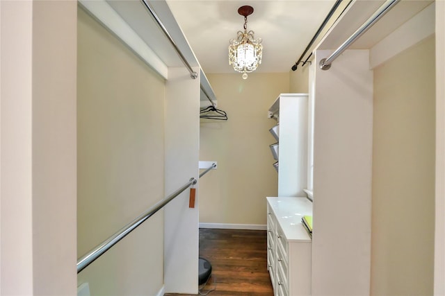 walk in closet featuring dark wood finished floors and an inviting chandelier