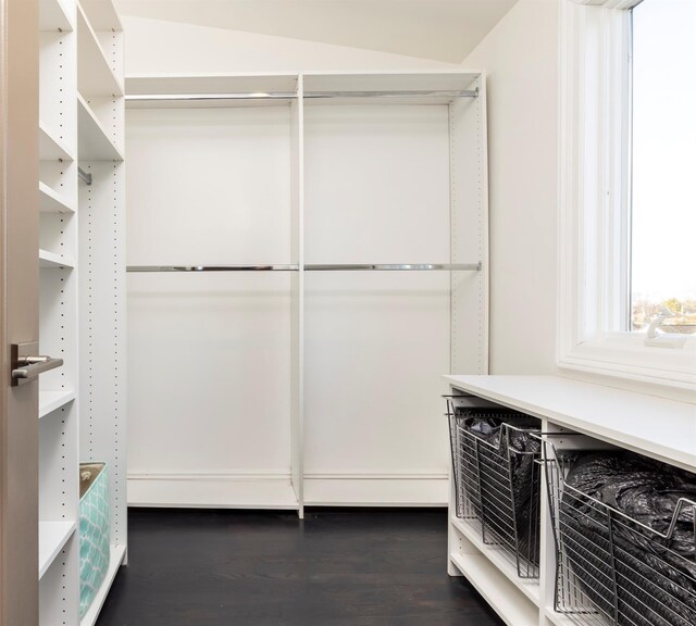 walk in closet with dark wood-style floors