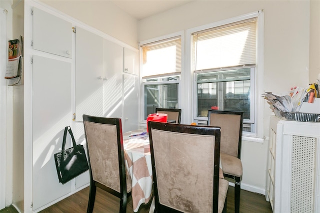 dining room featuring dark wood-type flooring