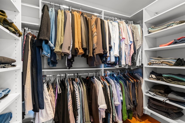 view of walk in closet