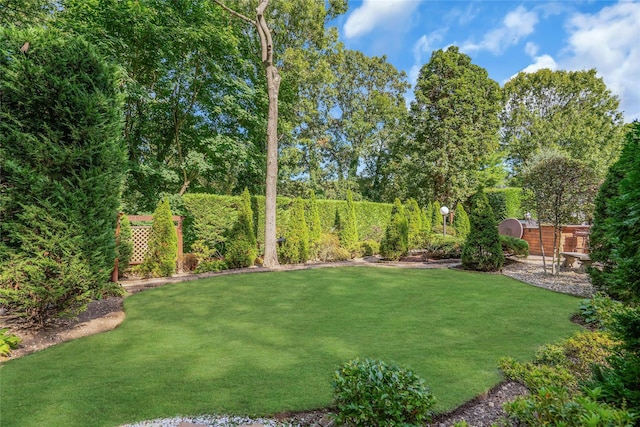 view of yard featuring fence