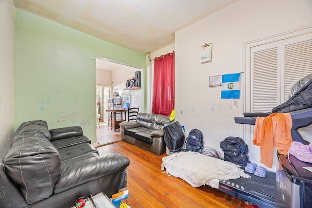 living room featuring wood-type flooring