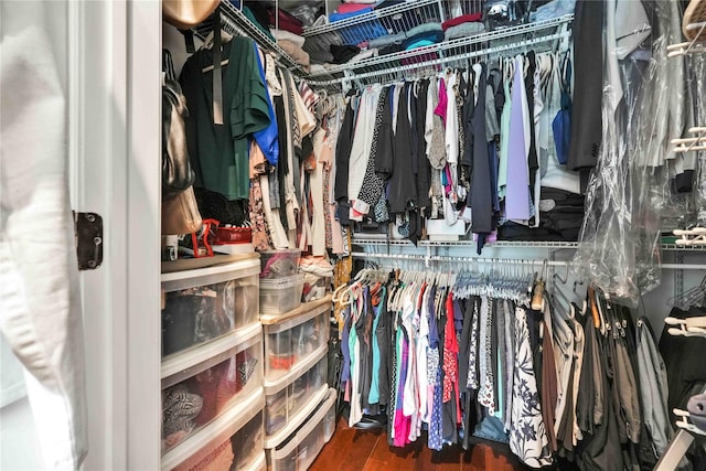 walk in closet featuring wood finished floors