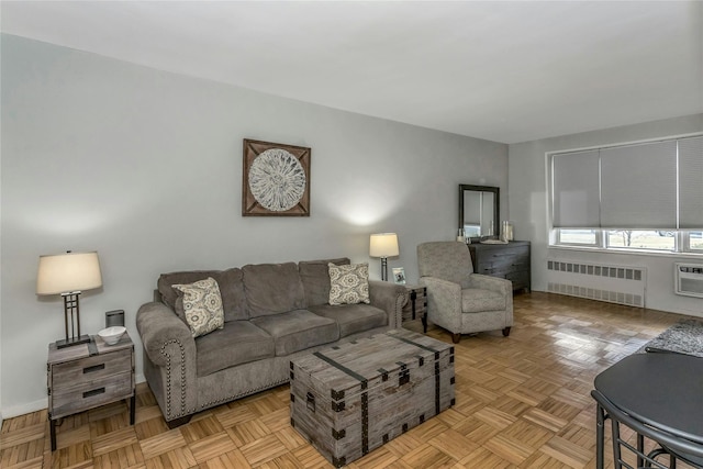 living area with radiator