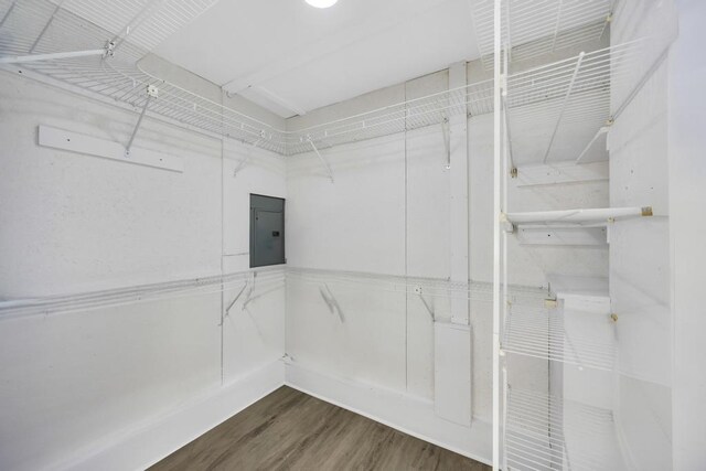 spacious closet featuring electric panel and wood finished floors