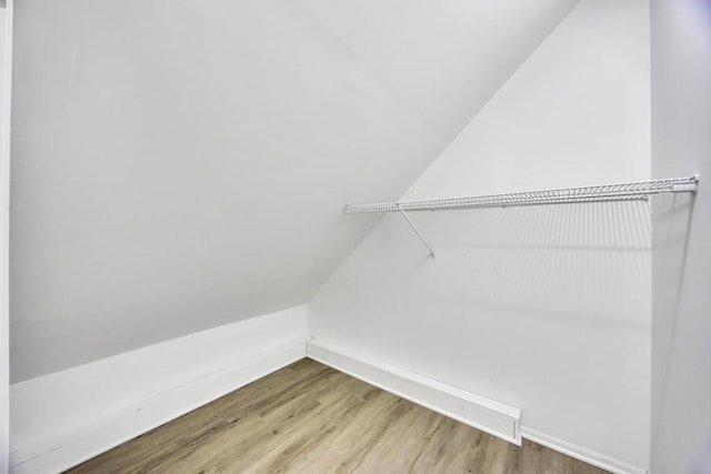 walk in closet with lofted ceiling and wood finished floors