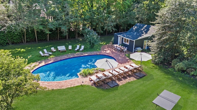 pool with an outbuilding, a patio, a storage structure, area for grilling, and a lawn