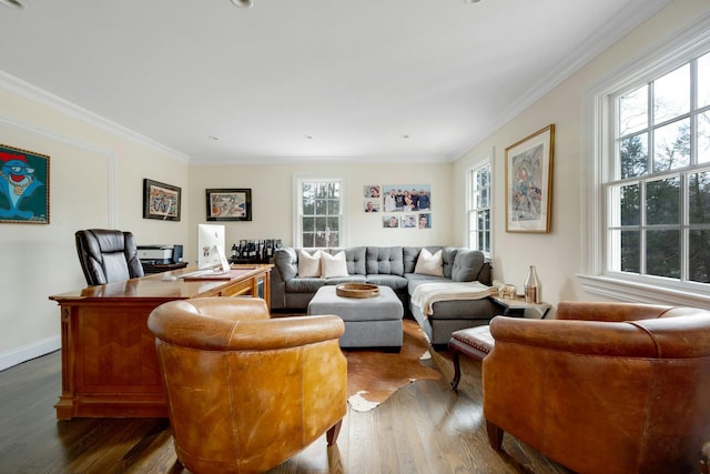 living area featuring baseboards, dark wood-type flooring, and crown molding