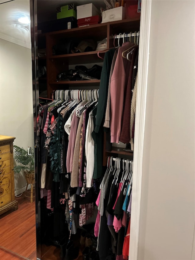 view of closet