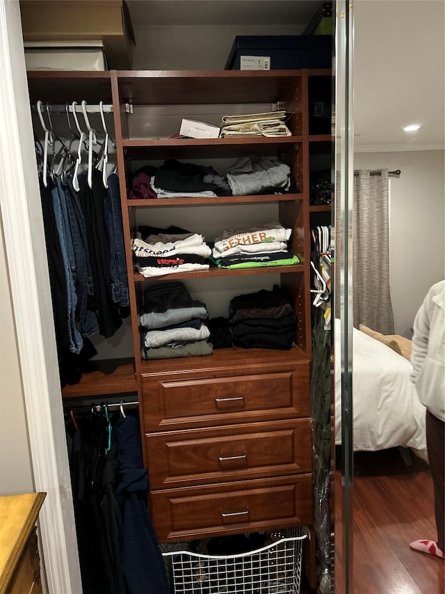 view of closet