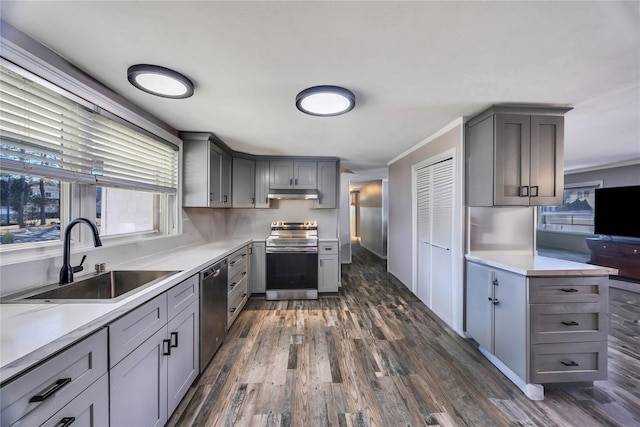 kitchen featuring under cabinet range hood, gray cabinets, appliances with stainless steel finishes, and a sink