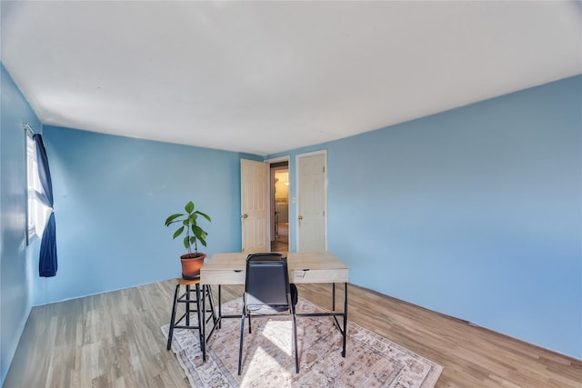 office featuring wood finished floors