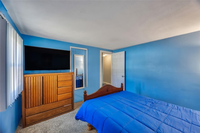 bedroom with carpet floors