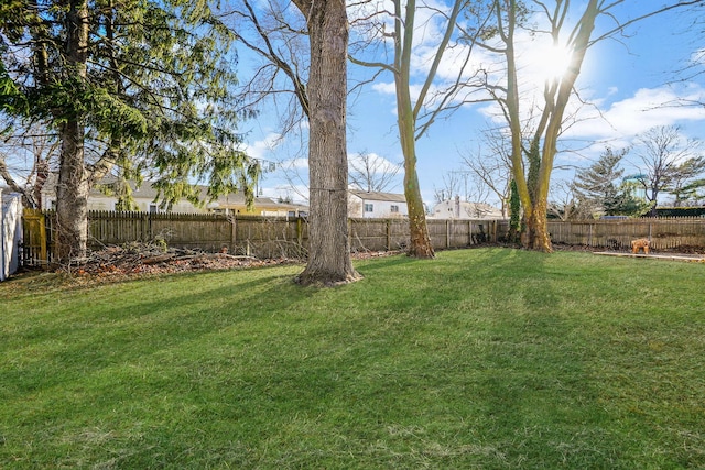 view of yard with a fenced backyard