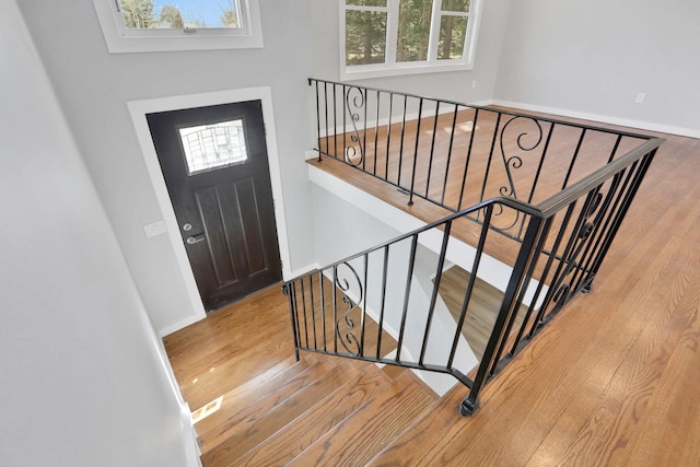 entrance foyer featuring baseboards and wood finished floors