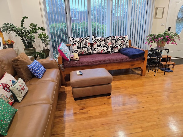 living room featuring hardwood / wood-style floors