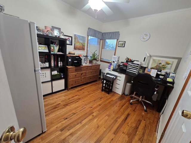 office space featuring ornamental molding, light wood-type flooring, and ceiling fan