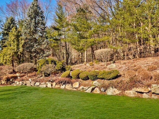 25 Pine Glen Dr, Blauvelt, NY 10913 - view of yard