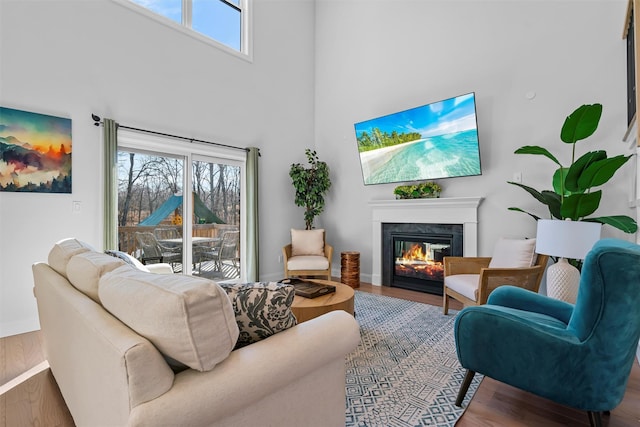 living room featuring a glass covered fireplace, a healthy amount of sunlight, and wood finished floors