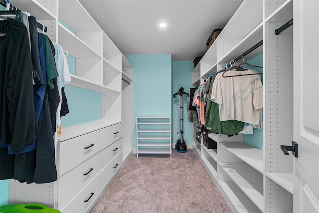 walk in closet with carpet floors