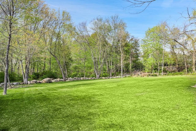 6 Tripp Ln, Armonk, NY 10504 - photo 3