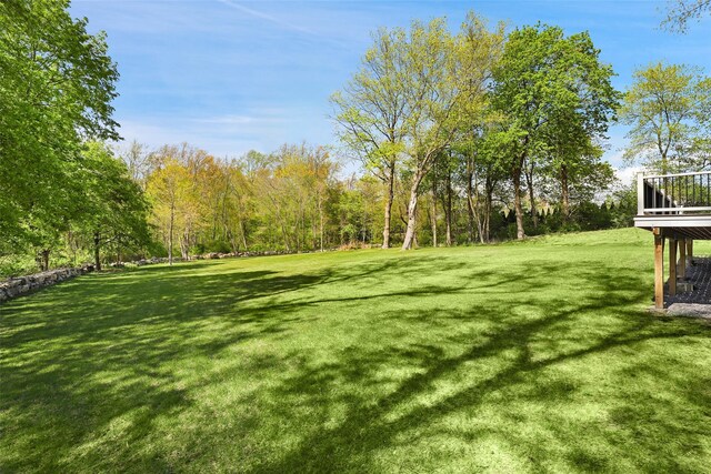 6 Tripp Ln, Armonk, NY 10504 - photo 28