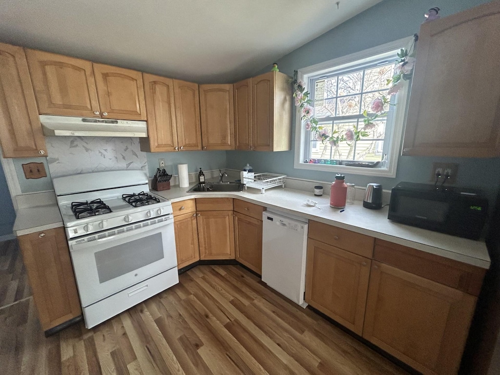 kitchen with white appliances, light countertops, a sink, and under cabinet range hood