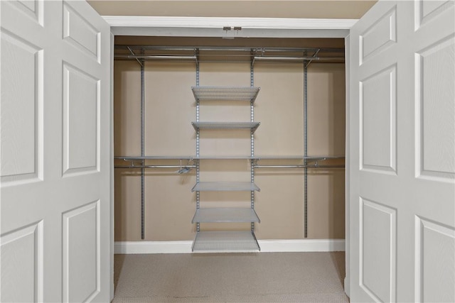 view of closet