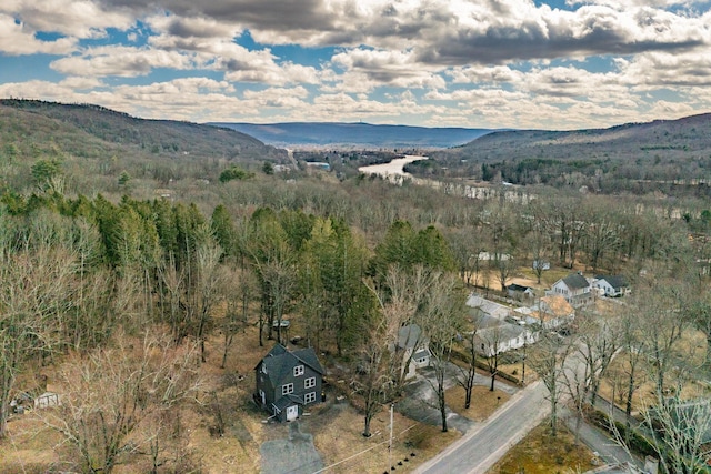 bird's eye view featuring a mountain view