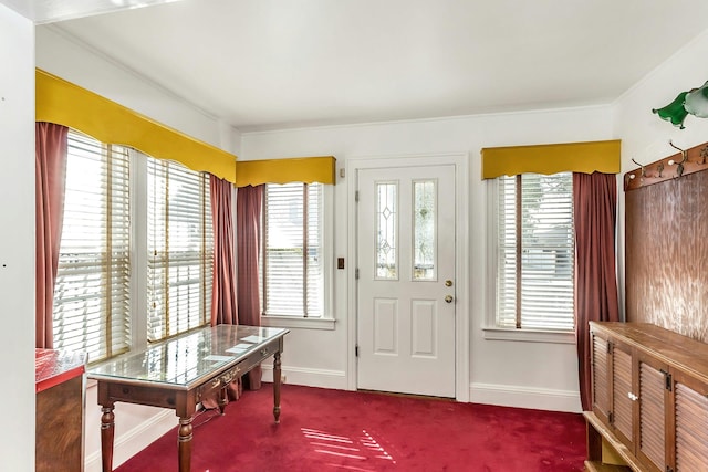 carpeted foyer featuring a healthy amount of sunlight and baseboards