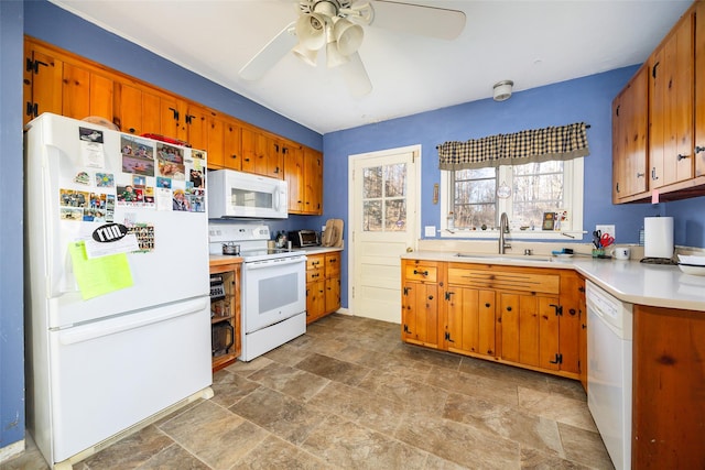 kitchen featuring a ceiling fan, a sink, white appliances, brown cabinetry, and light countertops