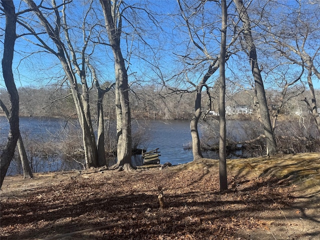 view of water feature with a wooded view