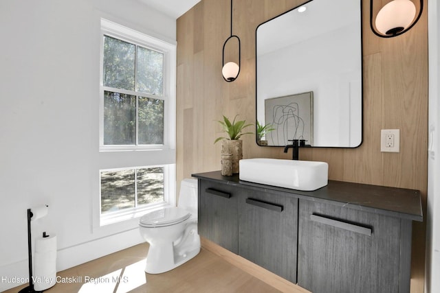 bathroom featuring toilet and vanity