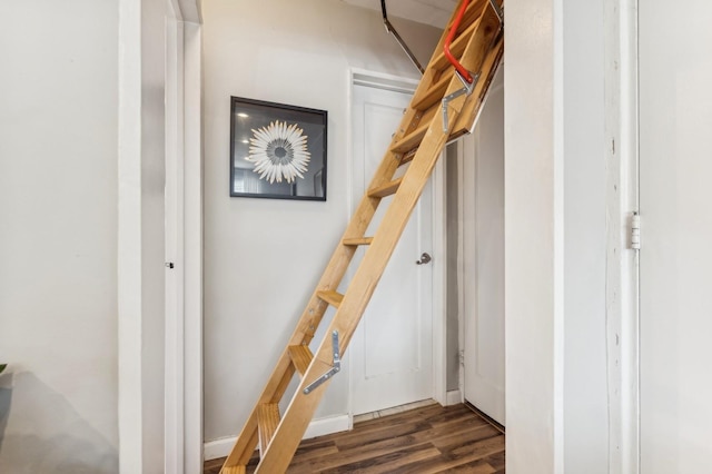 stairs with wood finished floors