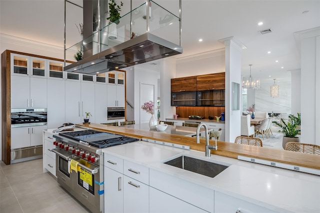 kitchen featuring crown molding, stainless steel appliances, visible vents, a sink, and ventilation hood