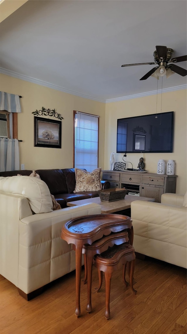 living room featuring a ceiling fan, crown molding, and wood finished floors