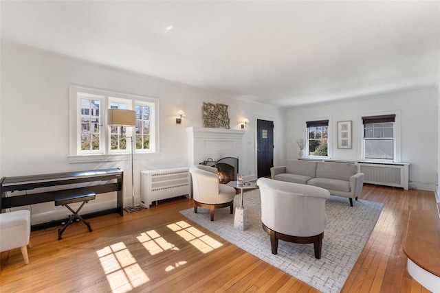 living room featuring a wealth of natural light, wood-type flooring, and radiator